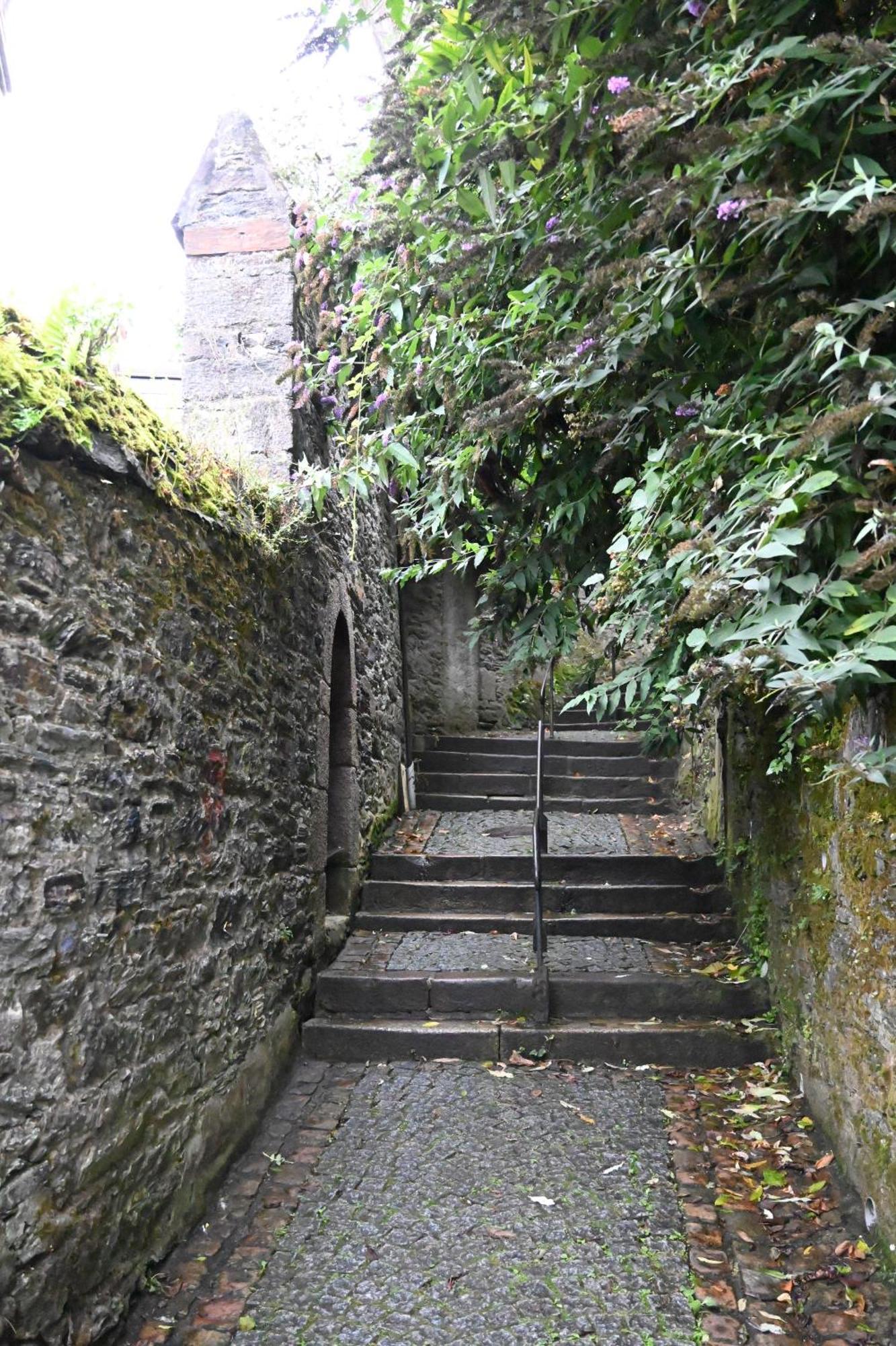 Ferienwohnung Jardin Madeleine Morlaix Exterior foto