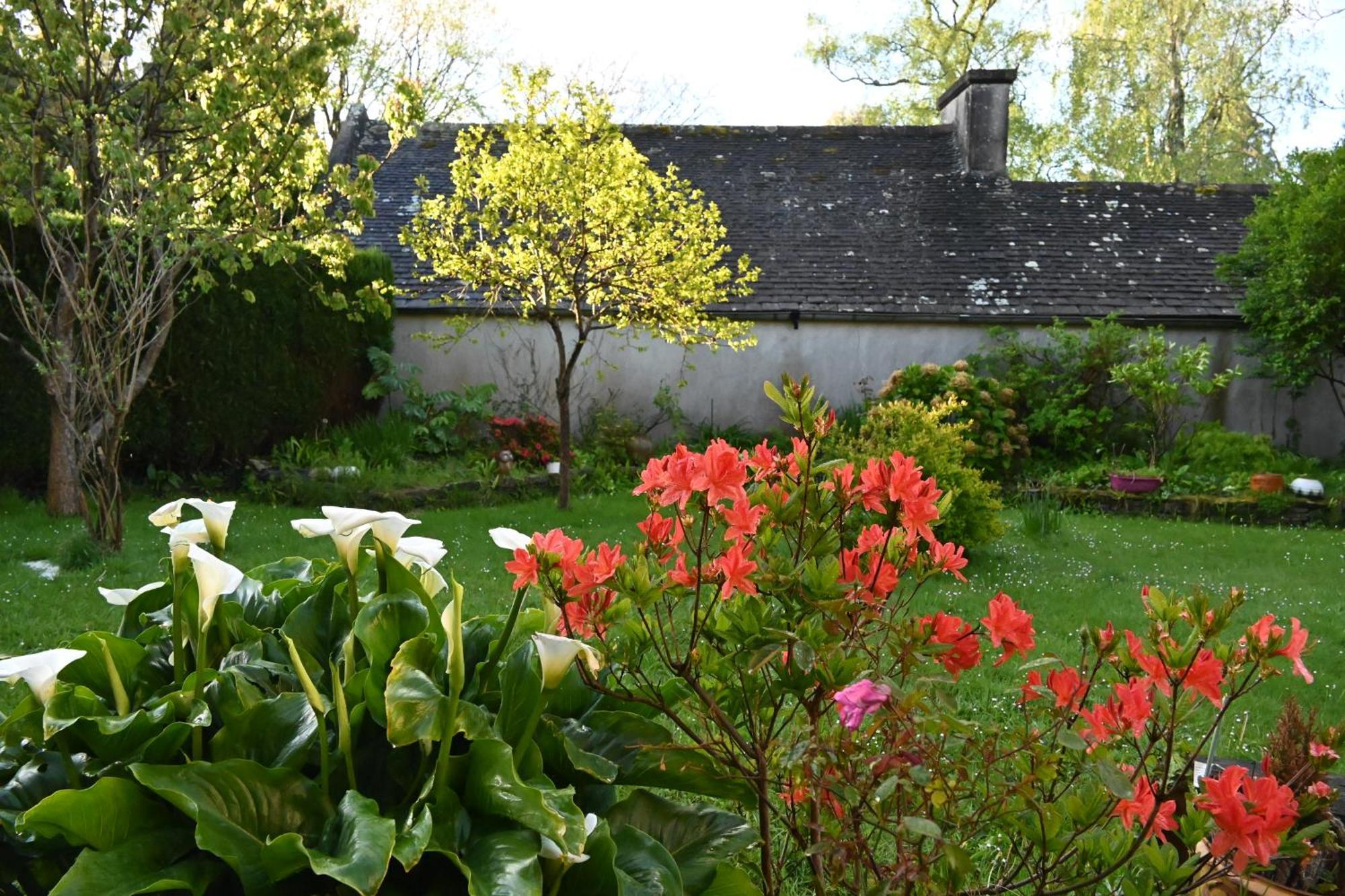 Ferienwohnung Jardin Madeleine Morlaix Exterior foto